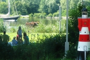 Die Wiese am Kanalufer